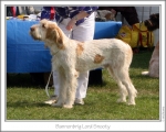 Filename=B-LordSnooty.jpg
Filesize=146KiB
Dimensions=868x699
Date added=Sep 18, 2011 B-LordSnooty.jpg