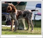 Filename=B-Noccino.jpg
Filesize=190KiB
Dimensions=871x781
Date added=Sep 18, 2011 B-Noccino.jpg