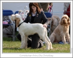 Filename=C-AtruDtu.jpg
Filesize=160KiB
Dimensions=867x690
Date added=Sep 18, 2011 C-AtruDtu.jpg