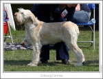 Filename=C-Corinna.jpg
Filesize=159KiB
Dimensions=867x669
Date added=Sep 18, 2011 C-Corinna.jpg