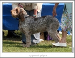 Filename=J-Angelyna.jpg
Filesize=164KiB
Dimensions=867x668
Date added=Sep 18, 2011 J-Angelyna.jpg