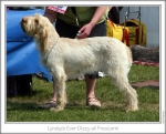 Filename=L-EverDizzy.jpg
Filesize=164KiB
Dimensions=868x701
Date added=Sep 18, 2011 L-EverDizzy.jpg