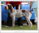 Filename=L-FancyFella.jpg
Filesize=166KiB
Dimensions=870x758
Date added=Sep 18, 2011 L-FancyFella.jpg