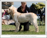 Filename=M-SavannaPeach.jpg
Filesize=180KiB
Dimensions=868x703
Date added=Sep 18, 2011 M-SavannaPeach.jpg
