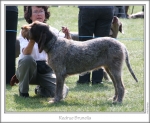 R-Brunella.jpg