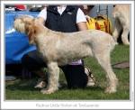 Filename=R-LittleSister.jpg
Filesize=162KiB
Dimensions=868x709
Date added=Sep 18, 2011 R-LittleSister.jpg