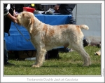 Filename=T-DoubleJack.jpg
Filesize=166KiB
Dimensions=867x683
Date added=Sep 18, 2011 T-DoubleJack.jpg
