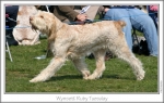 Filename=W-RubyTuesday-3.jpg
Filesize=134KiB
Dimensions=861x549
Date added=Sep 18, 2011 W-RubyTuesday-3.jpg
