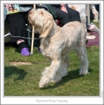Filename=W-RubyTuesday-4.jpg
Filesize=193KiB
Dimensions=875x884
Date added=Sep 18, 2011 W-RubyTuesday-4.jpg
