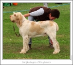 Filename=S-Legno.jpg
Filesize=212KiB
Dimensions=810x727
Date added=Sep 18, 2011 S-Legno.jpg