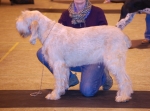 Filename=T-Balena.JPG
Filesize=251KiB
Dimensions=1024x762
Date added=Sep 18, 2011 T-Balena.JPG