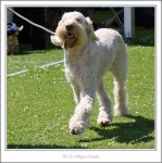 Filename=A-Amelia-4.jpg
Filesize=452KiB
Dimensions=986x990
Date added=Feb 23, 2013 A-Amelia-4.jpg