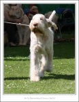 Filename=B-AlFresco-2.jpg
Filesize=452KiB
Dimensions=998x1286
Date added=Feb 23, 2013 B-AlFresco-2.jpg