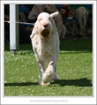 Filename=B-AlFresco-3.jpg
Filesize=421KiB
Dimensions=989x1063
Date added=Feb 23, 2013 B-AlFresco-3.jpg