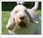 Filename=B-AlFresco-4.jpg
Filesize=284KiB
Dimensions=980x871
Date added=Feb 23, 2013 B-AlFresco-4.jpg