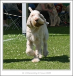 Filename=B-AlFresco-5.jpg
Filesize=421KiB
Dimensions=987x1026
Date added=Feb 23, 2013 B-AlFresco-5.jpg