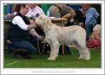 Filename=B-AlFresco.jpg
Filesize=237KiB
Dimensions=973x698
Date added=Feb 23, 2013 B-AlFresco.jpg