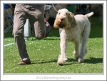 Filename=B-LikelyLad-3.jpg
Filesize=353KiB
Dimensions=975x747
Date added=Feb 23, 2013 B-LikelyLad-3.jpg