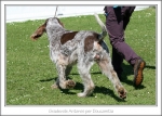 Filename=G-Anteros-3.jpg
Filesize=341KiB
Dimensions=973x699
Date added=Feb 23, 2013 G-Anteros-3.jpg