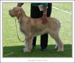 Filename=H-PrettyInPink.jpg
Filesize=355KiB
Dimensions=978x824
Date added=Feb 23, 2013 H-PrettyInPink.jpg
