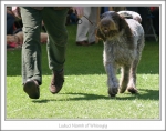 Filename=L-Niamh-2.jpg
Filesize=323KiB
Dimensions=976x773
Date added=Feb 23, 2013 L-Niamh-2.jpg