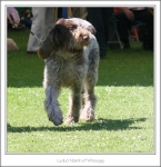 Filename=L-Niamh-3.jpg
Filesize=421KiB
Dimensions=987x1021
Date added=Feb 23, 2013 L-Niamh-3.jpg