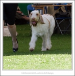 Filename=M-GoodAsGold-2.jpg
Filesize=348KiB
Dimensions=986x1000
Date added=Feb 23, 2013 M-GoodAsGold-2.jpg