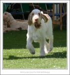 Filename=M-GoodAsGold-3.jpg
Filesize=376KiB
Dimensions=989x1067
Date added=Feb 23, 2013 M-GoodAsGold-3.jpg