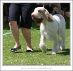 Filename=M-GoodAsGold-4.jpg
Filesize=427KiB
Dimensions=984x967
Date added=Feb 23, 2013 M-GoodAsGold-4.jpg