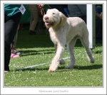 Filename=M-JustSoulful-3.jpg
Filesize=369KiB
Dimensions=980x876
Date added=Feb 23, 2013 M-JustSoulful-3.jpg