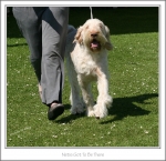 Filename=N-GotToBeThere-2.jpg
Filesize=427KiB
Dimensions=983x952
Date added=Feb 23, 2013 N-GotToBeThere-2.jpg