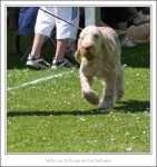 Filename=N-LuvToBoogie-2.jpg
Filesize=471KiB
Dimensions=987x1043
Date added=Feb 23, 2013 N-LuvToBoogie-2.jpg