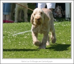 Filename=N-LuvToBoogie-3.jpg
Filesize=402KiB
Dimensions=980x861
Date added=Feb 23, 2013 N-LuvToBoogie-3.jpg