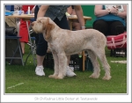 Filename=R-LittleSister.jpg
Filesize=258KiB
Dimensions=976x763
Date added=Feb 23, 2013 R-LittleSister.jpg