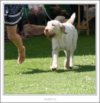 Filename=S-Iva-3.jpg
Filesize=444KiB
Dimensions=986x1011
Date added=Feb 23, 2013 S-Iva-3.jpg