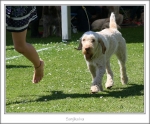 Filename=S-Iva-4.jpg
Filesize=382KiB
Dimensions=977x810
Date added=Feb 23, 2013 S-Iva-4.jpg