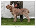 Filename=E-Ghilea.jpg
Filesize=218KiB
Dimensions=867x676
Date added=Feb 23, 2013 E-Ghilea.jpg