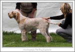 Filename=H-TheBugExplorer.jpg
Filesize=186KiB
Dimensions=864x608
Date added=Feb 23, 2013 H-TheBugExplorer.jpg