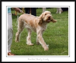 Filename=B-BearlyALady-2.jpg
Filesize=363KiB
Dimensions=1250x1048
Date added=Feb 23, 2013 B-BearlyALady-2.jpg