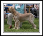 Filename=B-BearlyALady.jpg
Filesize=355KiB
Dimensions=1250x1069
Date added=Feb 23, 2013 B-BearlyALady.jpg