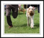 Filename=B-LikelyLad-3.jpg
Filesize=335KiB
Dimensions=1250x1070
Date added=Feb 23, 2013 B-LikelyLad-3.jpg