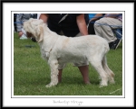 Filename=B-Streyga.jpg
Filesize=289KiB
Dimensions=1250x1009
Date added=Feb 23, 2013 B-Streyga.jpg