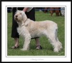 Filename=C-Corinna.jpg
Filesize=315KiB
Dimensions=1250x1089
Date added=Feb 23, 2013 C-Corinna.jpg