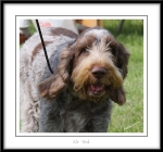 Filename=C-TedBaker-3.jpg
Filesize=209KiB
Dimensions=1050x986
Date added=Feb 23, 2013 C-TedBaker-3.jpg