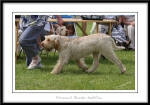 Filename=F-BlondeAmbition-2.jpg
Filesize=286KiB
Dimensions=1250x878
Date added=Feb 23, 2013 F-BlondeAmbition-2.jpg