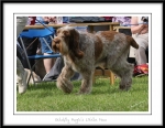 Filename=G-MagicsLittleMan-3.jpg
Filesize=295KiB
Dimensions=1250x974
Date added=Feb 23, 2013 G-MagicsLittleMan-3.jpg