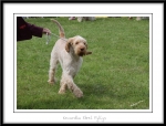 Filename=K-EbrelFyllys-3.jpg
Filesize=326KiB
Dimensions=1250x953
Date added=Feb 23, 2013 K-EbrelFyllys-3.jpg