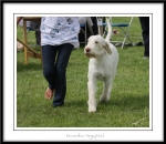 Filename=K-Megapixel-2.jpg
Filesize=361KiB
Dimensions=1250x1086
Date added=Feb 23, 2013 K-Megapixel-2.jpg