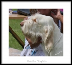 Filename=K-Megapixel-3.jpg
Filesize=180KiB
Dimensions=1050x941
Date added=Feb 23, 2013 K-Megapixel-3.jpg