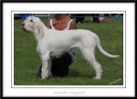 Filename=K-Megapixel.jpg
Filesize=250KiB
Dimensions=1250x914
Date added=Feb 23, 2013 K-Megapixel.jpg